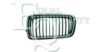 EQUAL QUALITY G0639 Radiator Grille